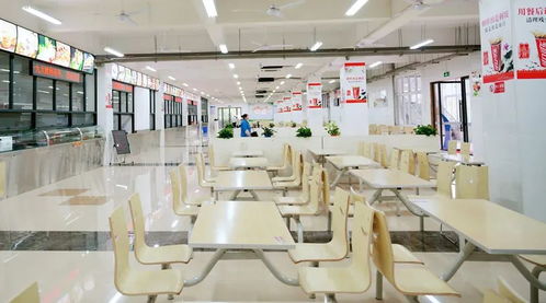 丽水130家学校、幼儿园获评餐饮服务食品安全A级单位，打造会务保障新高地
